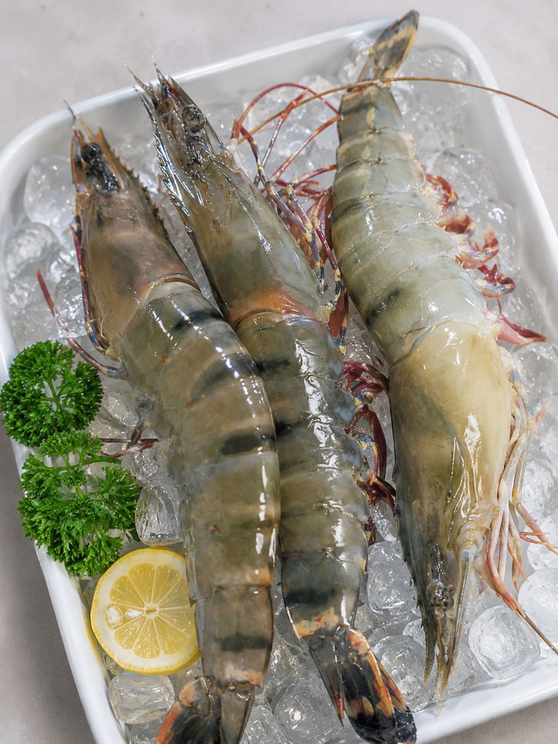 Udang Windu/Pedet